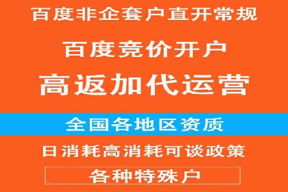 百度竞价：从入门到精通，快速实现盈利的案例集
